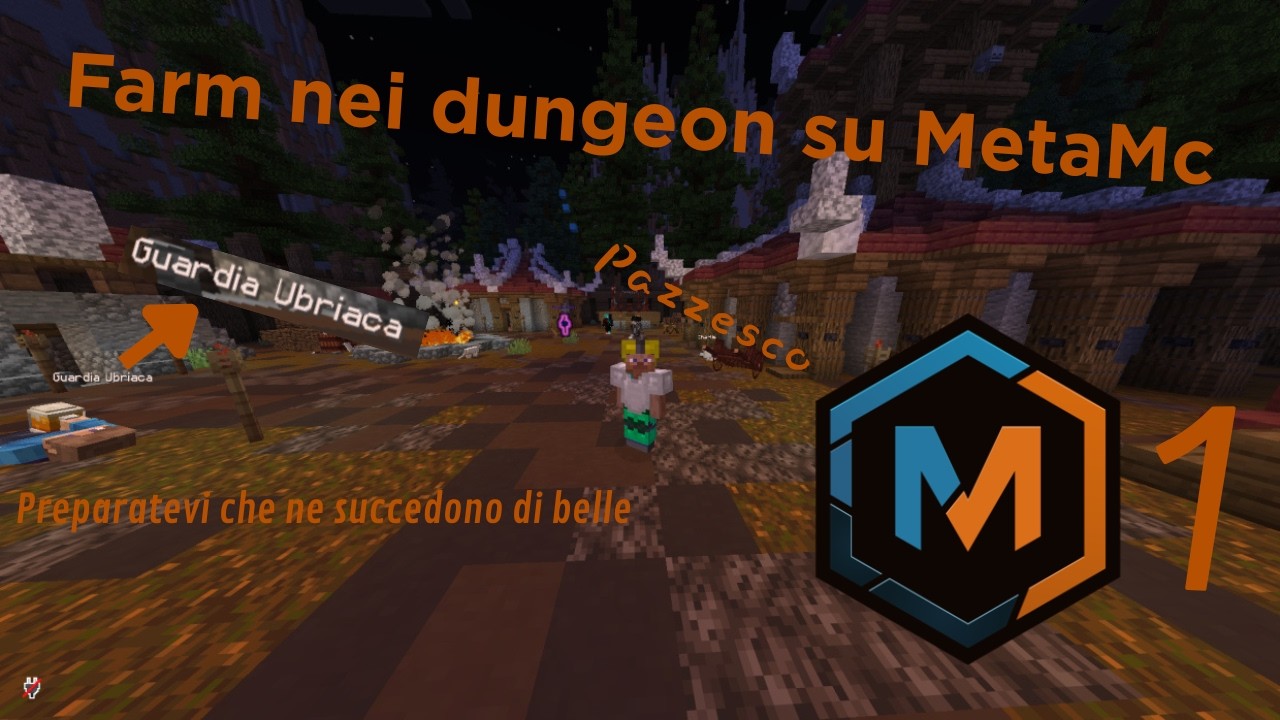 FARM NEI DUNGEON - Metamc.it - parte 1