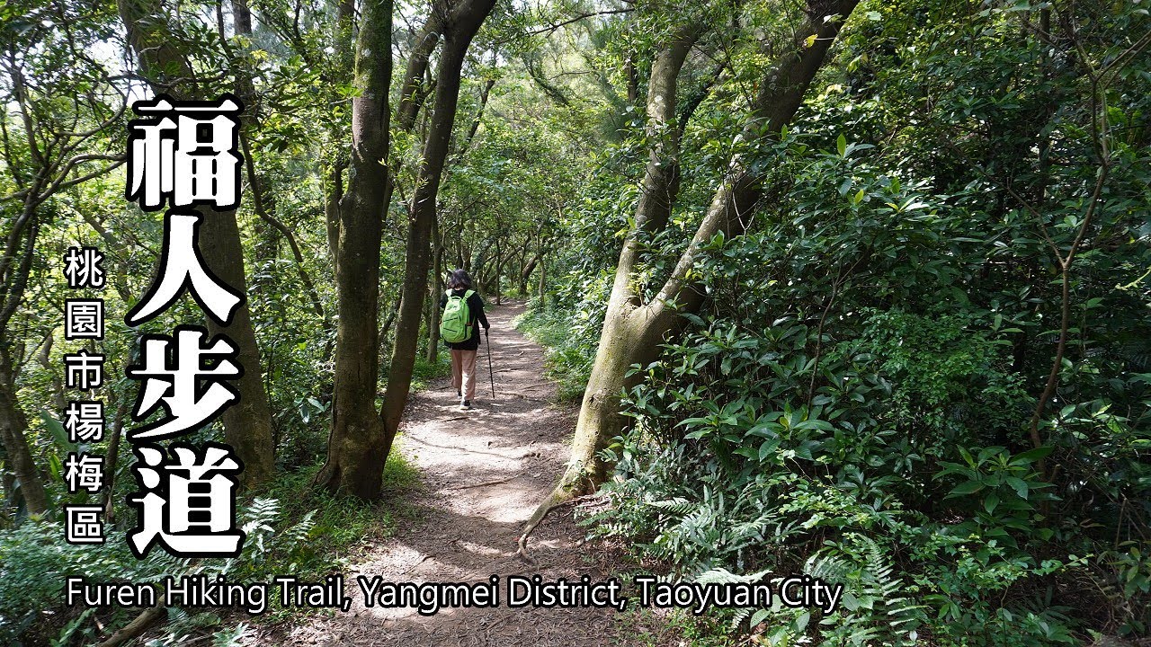 福人登山步道～低海拔森林賞桐步道 (桃園市楊梅區)