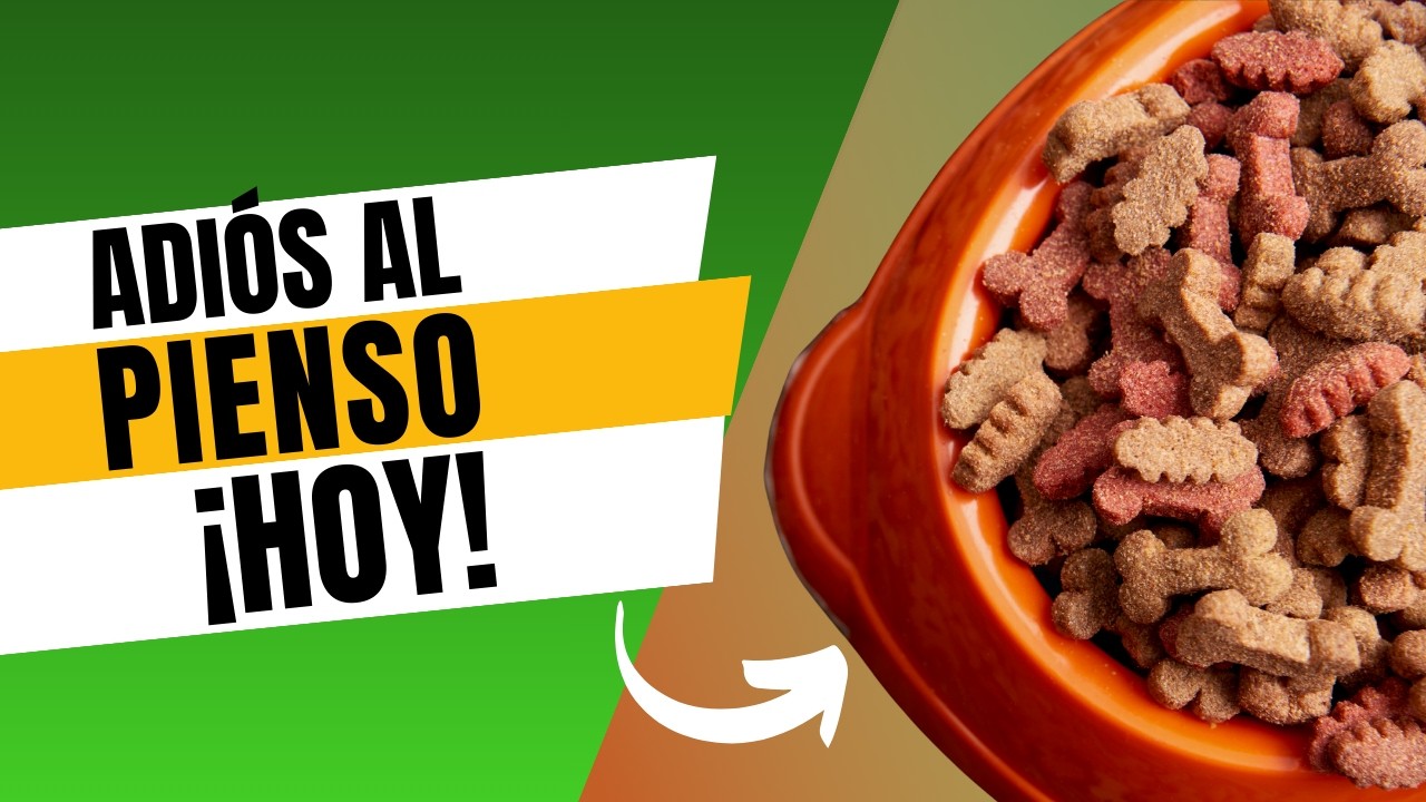 🥕🐾 EXPERTO VETERINARIO EN NUTRICI&Oacute;N REVELA: Dietas Caseras Simples y Saludables
