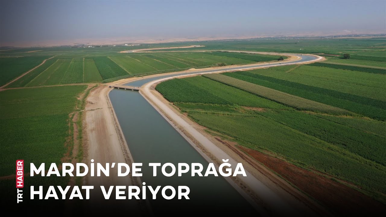 Türkiye'nin en uzun yapay nehri, Mardin Ovasına 'can' veriyor