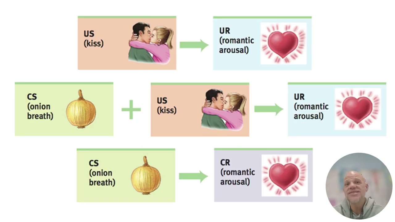 3 7 Classical Conditioning