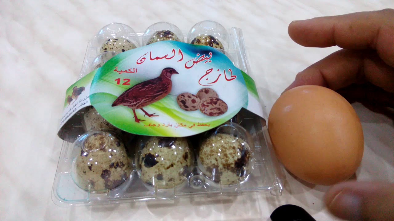 الأغدية التي سأعتمد عليها في تجهيز طيوري