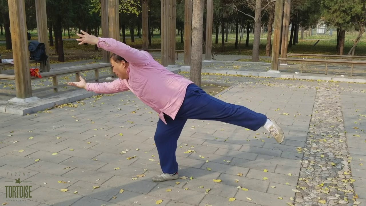 The TaiJi of Li RuiDong