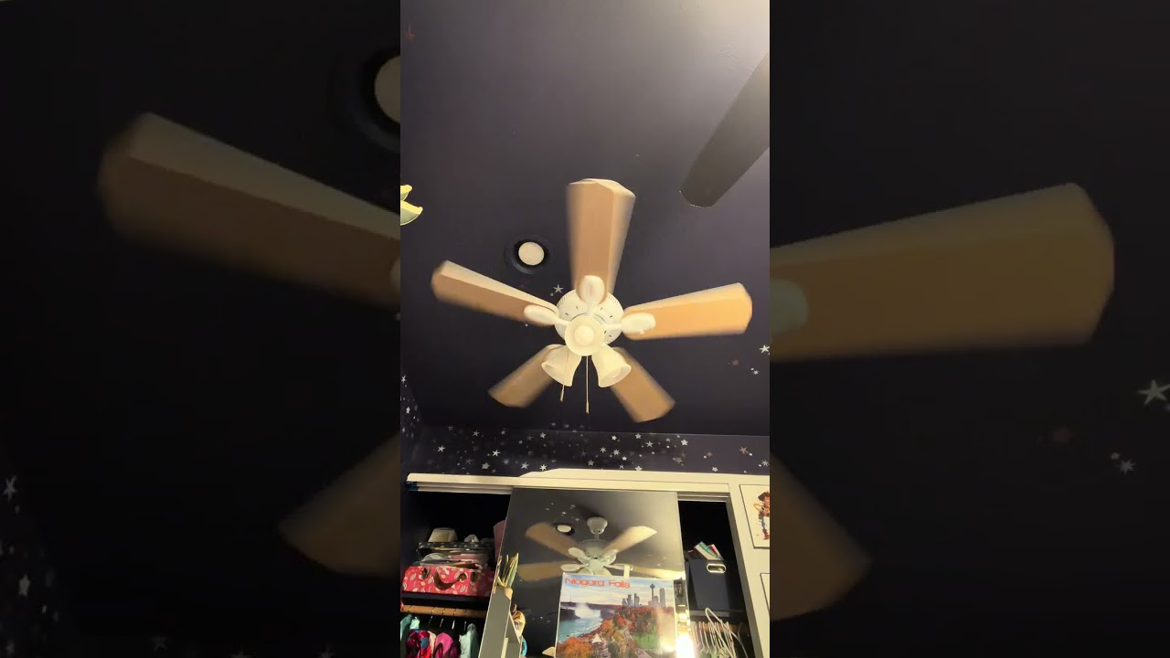 42” Hampton bay Glendale demo  (one year mark)
