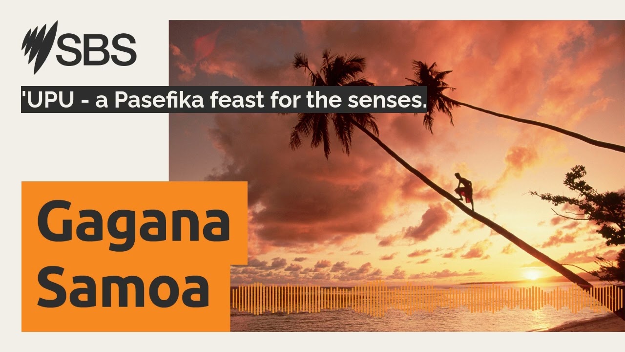 'UPU - a Pasefika feast for the senses. | SBS Samoan - SBS Samoan