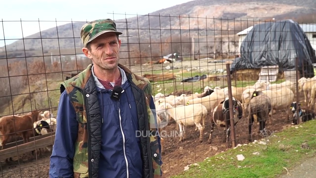 Kjo &euml;sht&euml; historia e suksesshme e fermerit q&euml; &euml;sht&euml; rrit mes deleve