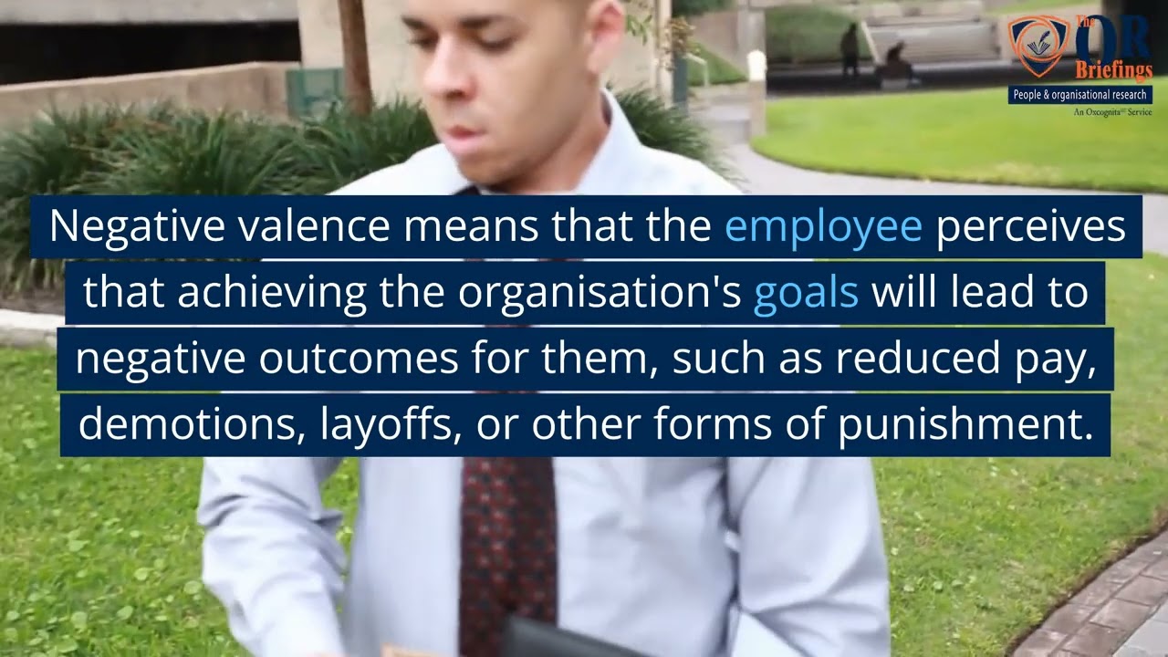Organisational valence