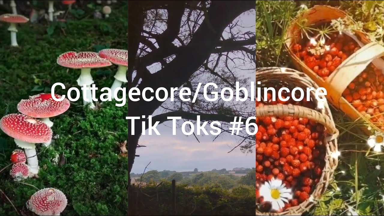 Cottagecore/Goblincore Tik Toks #6
