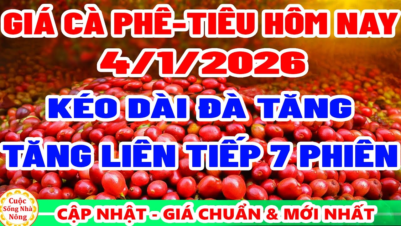 Gi&aacute; c&agrave; ph&ecirc; h&ocirc;m nay ng&agrave;y 4/1/2026 | TĂNG LI&Ecirc;N TIẾP 7 PHI&Ecirc;N - gi&aacute; ti&ecirc;u h&ocirc;m nay