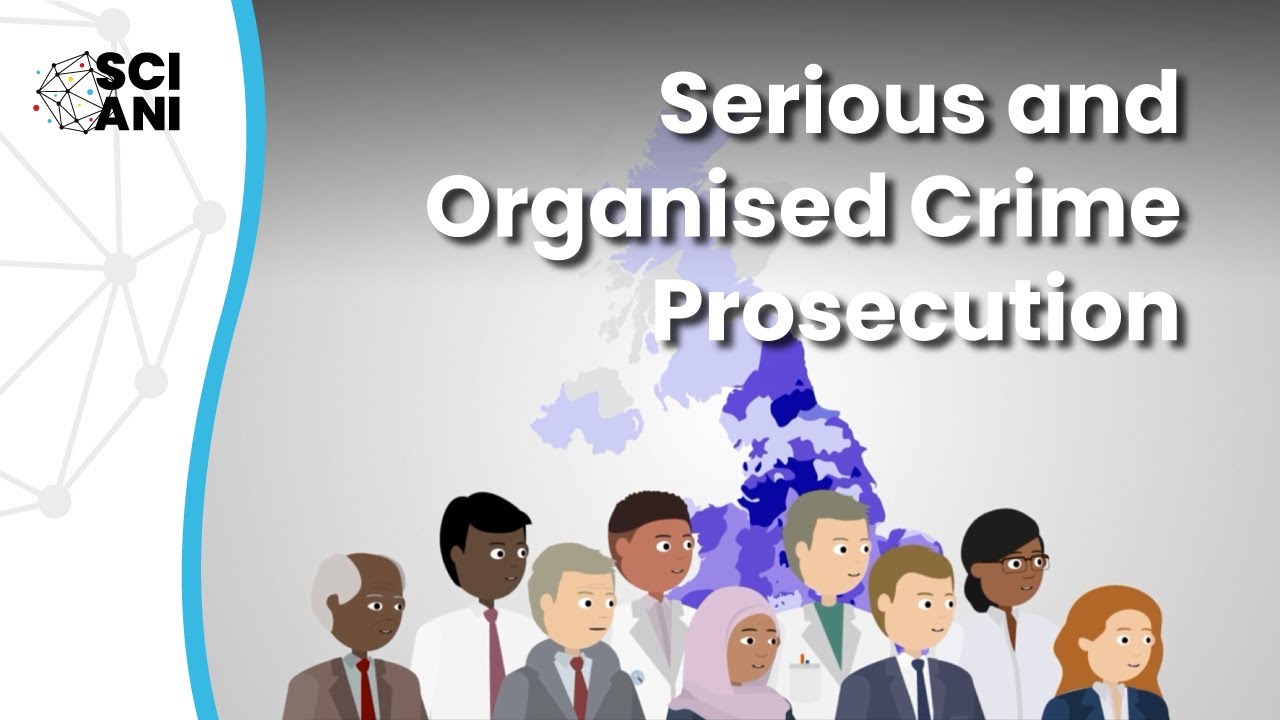 Who is prosecuted for serious and organised crimes, and what happens to them?