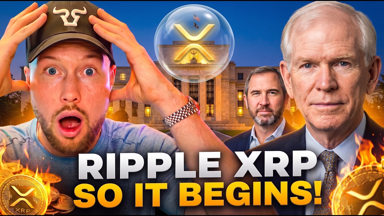Ripple XRP GET OUT!? The Man Who Called 2008 Just Warned Of A 70% Crash (THIS HAPPENS NEXT)