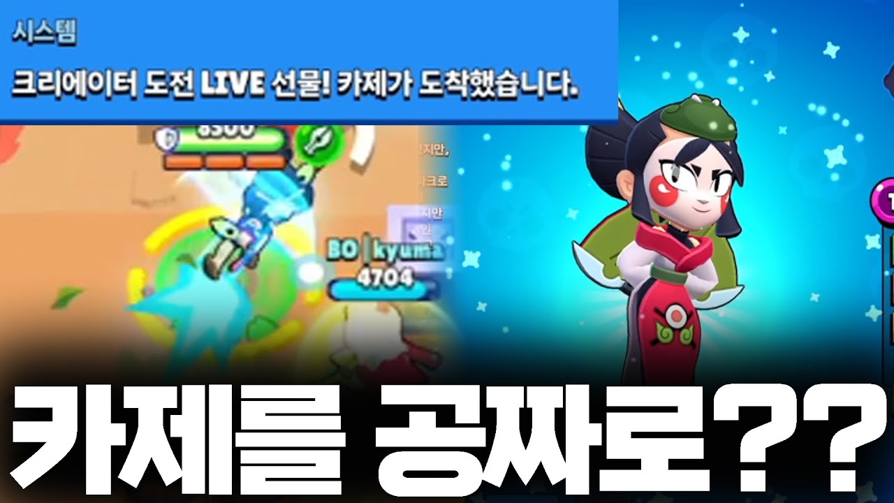 카제 오늘 제가 공짜로 뿌리겠습니다