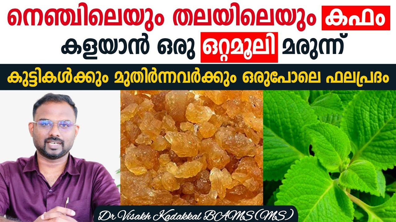 കഫം കളയാൻ ഈ ഒറ്റമൂലി ഉപയോഗിക്കാം | തലയിലും നെഞ്ചിലും അടിഞ്ഞ കഫം പുറത്ത് പോകും | Dr Visakh Kadakkal