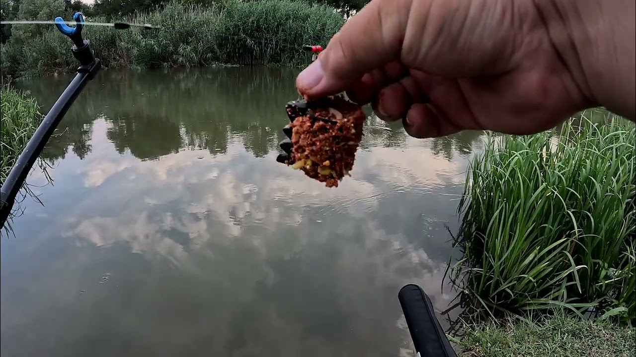 O balubă (mreană) prinsă pe bega .