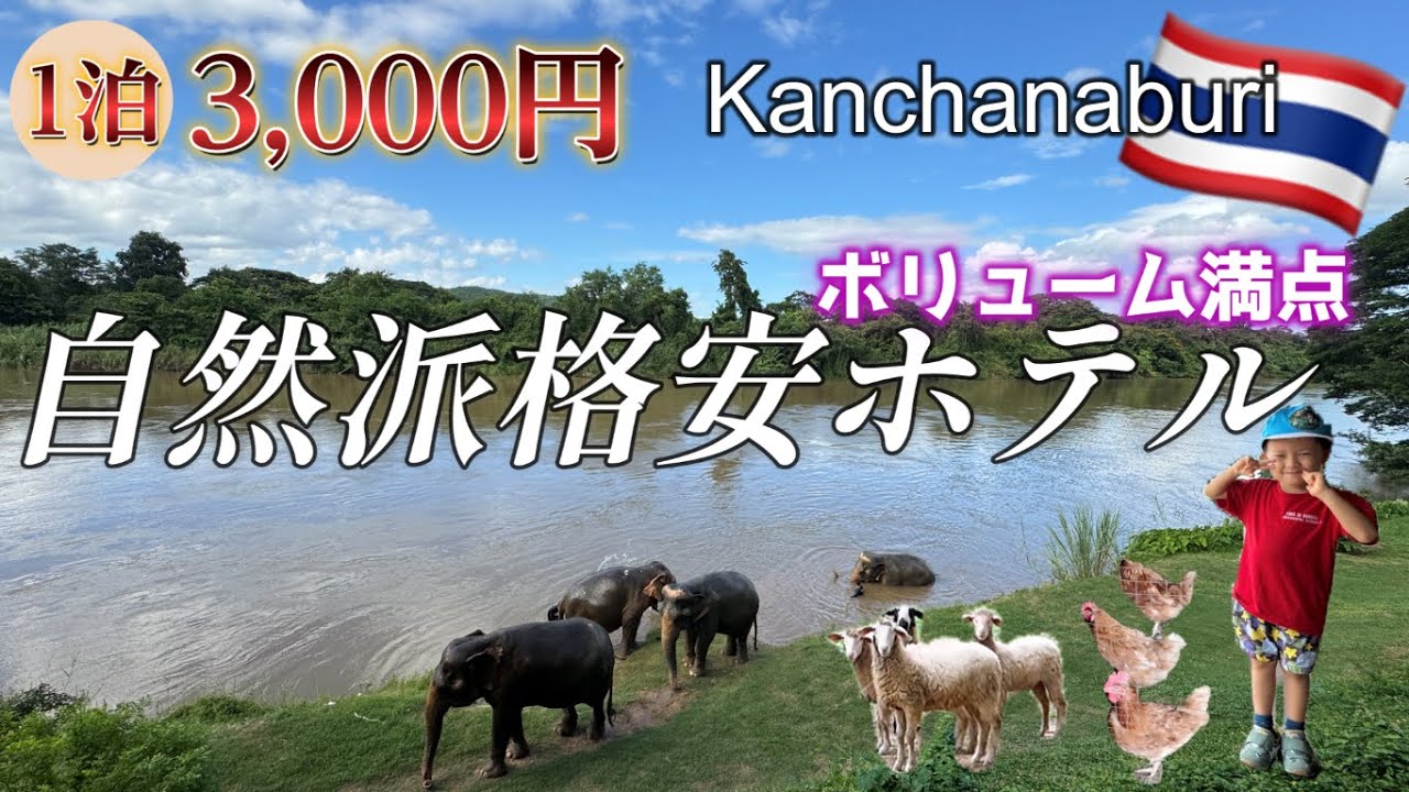 【環境に配慮！自然派ホテル】ゾウさん達を自然保護！開放感あふれる大自然｜格安ホテルが最高過ぎた！｜息子と二人旅｜カンチャナブリ