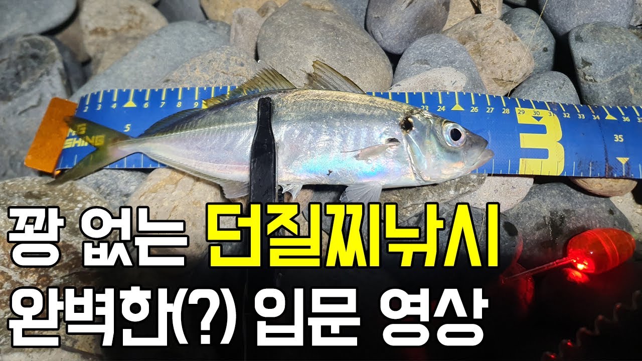 꽝없는 던질찌낚시 / 이 영상 하나면 충분합니다