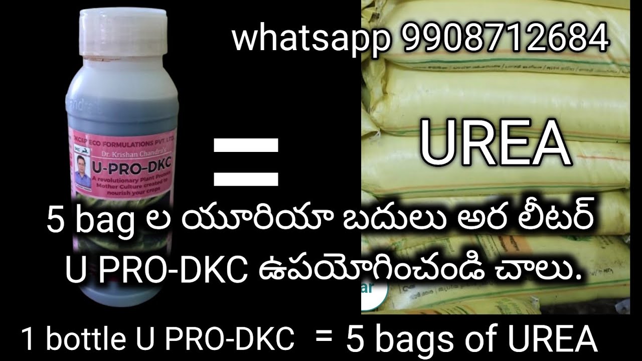 263. U PRO-DKC. protine culture for your plants. One bottle U PRO DKC equals to 5 bags of UREA.