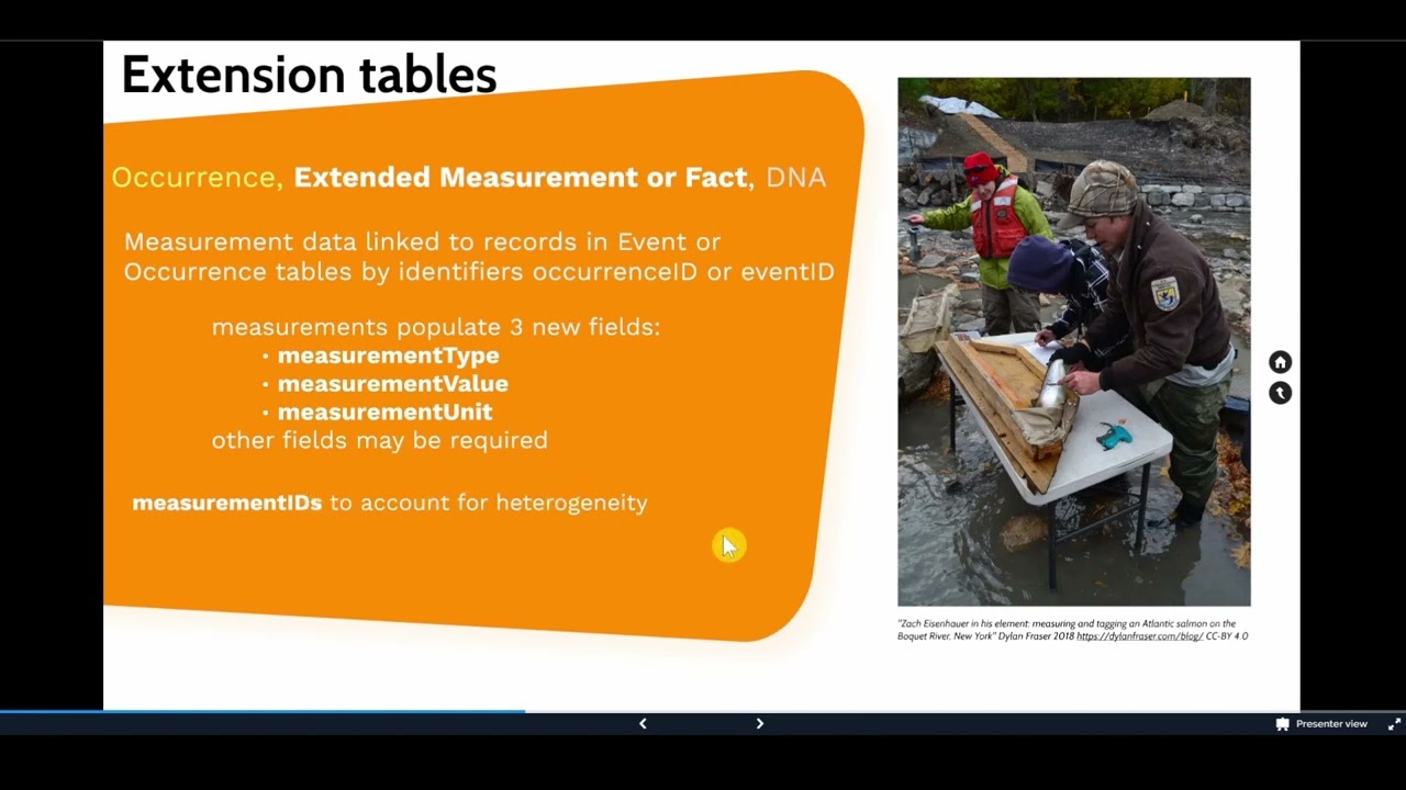 OBIS Schema: Core and Extension tables (2024)