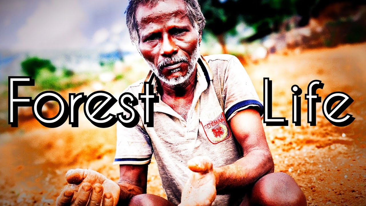 இருள்சூழ்ந்த காடெங்கும் அவன் ஒரு விலங்கைபோல் வாழ்ந்து கொண்டிருந்தான்!அன்பால் வேட்டையாடினான்!|TRIBES