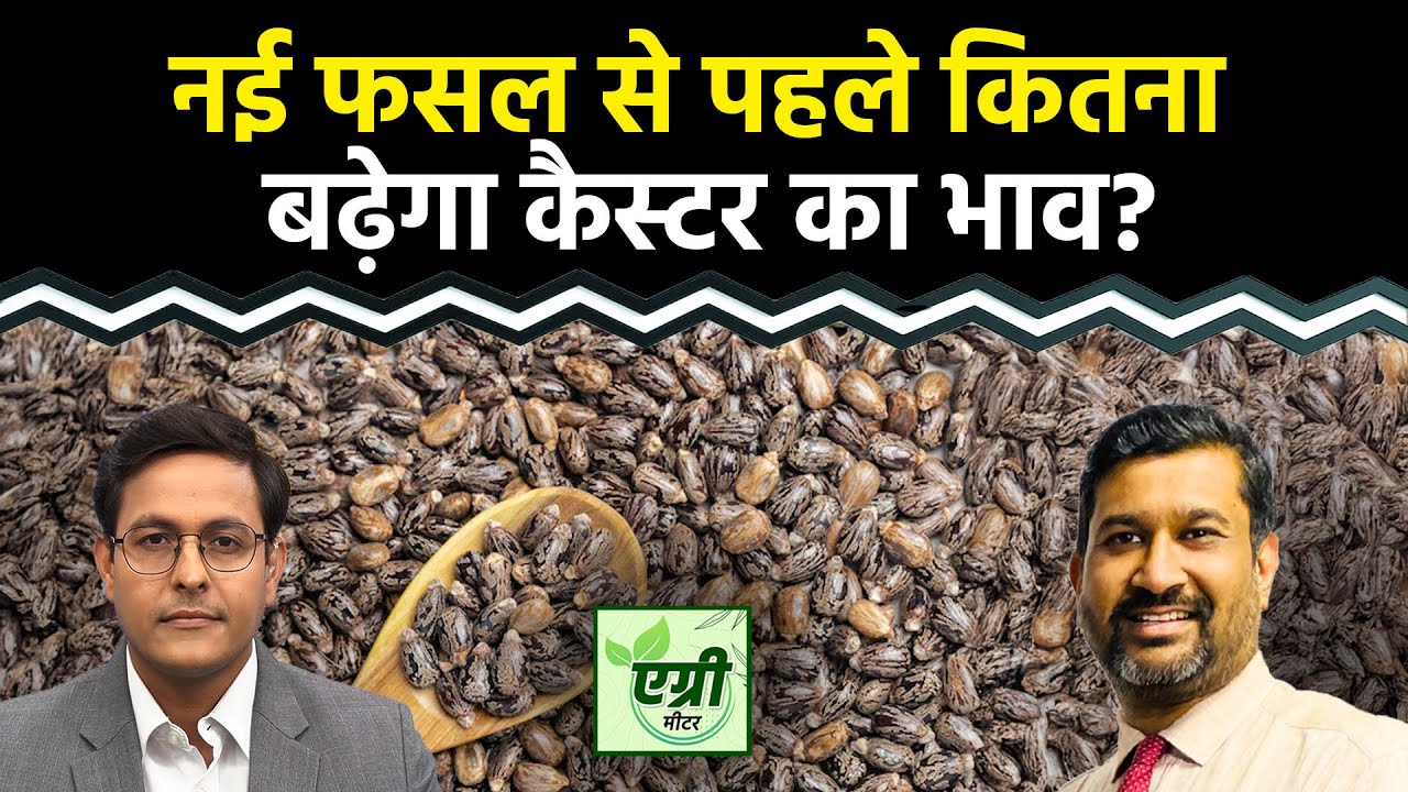 Commodity Market : NCDEX पर कैस्टरसीड खरीदें या बेचें? Trading | Agri Commodity