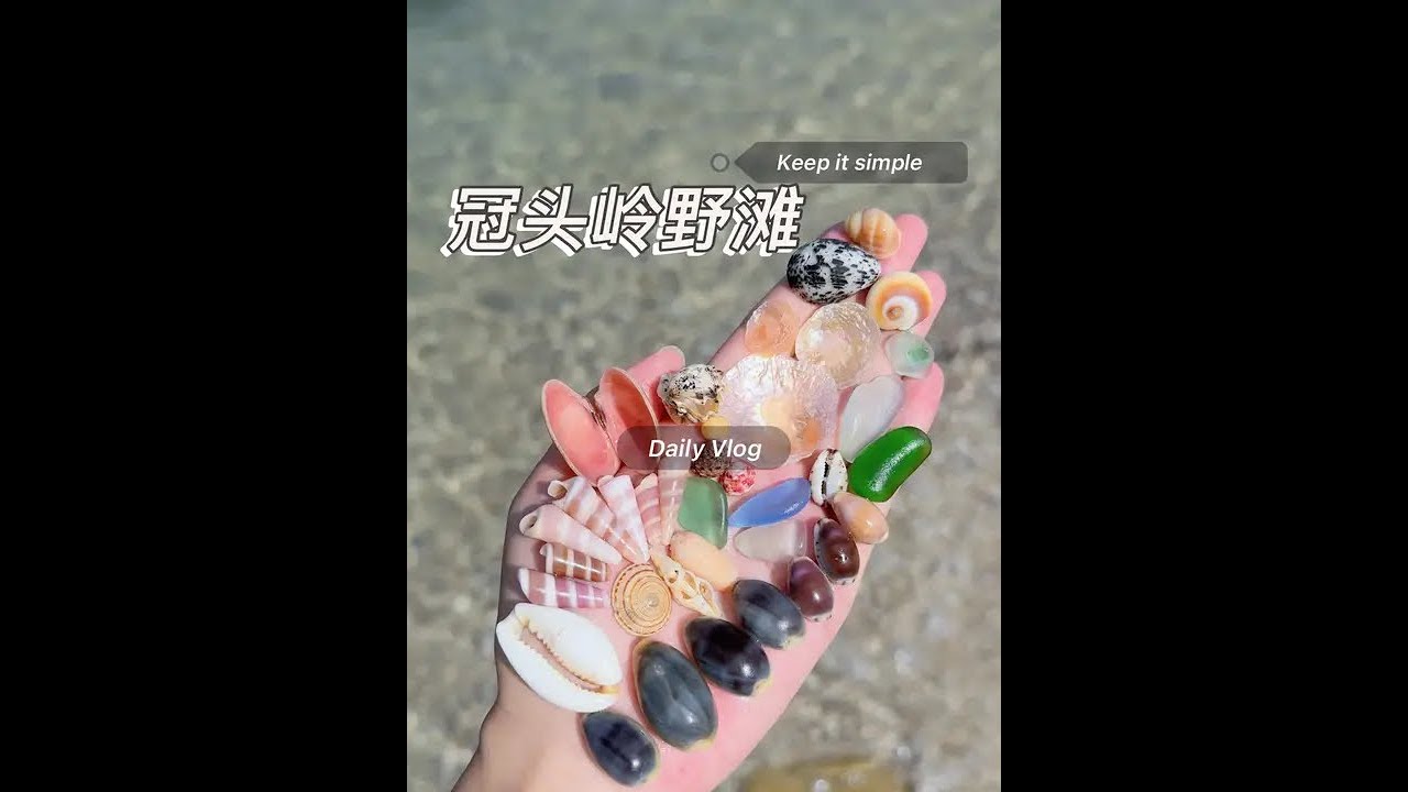 冠头岭野滩 同款贝壳可以去冠岭山庄2号楼之前有发视频可参考，野滩位置别问我存在安全隐患我不会公开哈#今日分享 #带你看海 #捡贝壳的快乐 #解压#北海