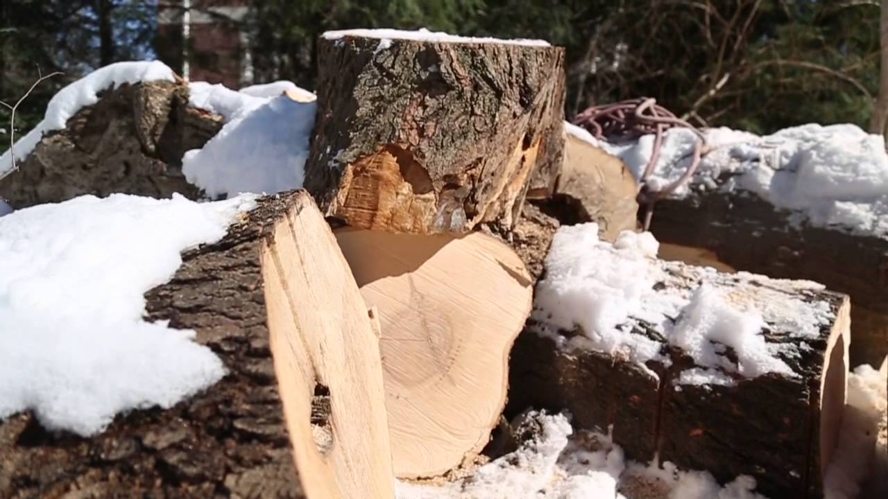 Tree to table