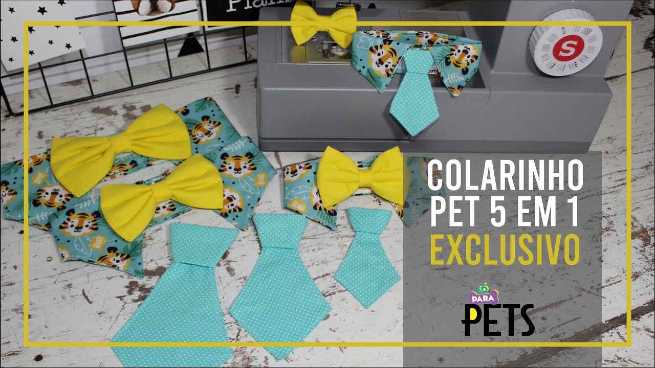 #39 Moda Pet: Colarinho 5 em 1.