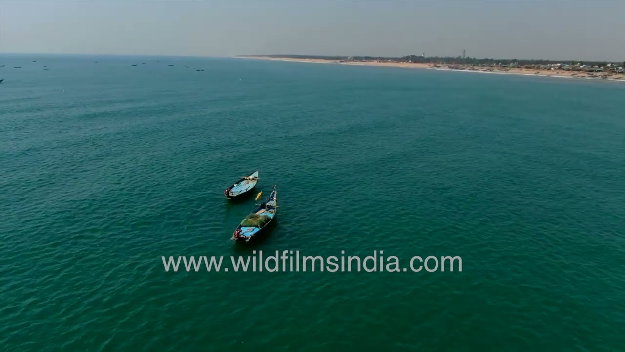 Fishing boats scattered across sea green waters of Chandrabhaga beach in Odisha