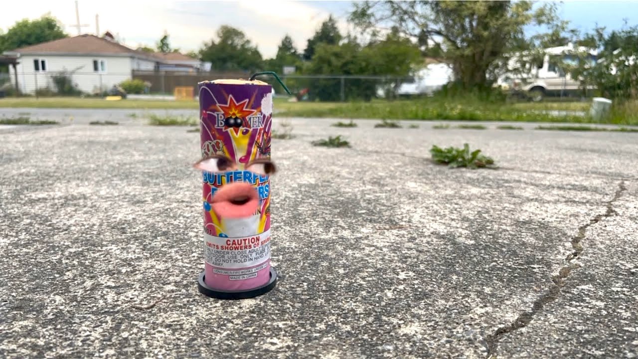 Life of A Firework