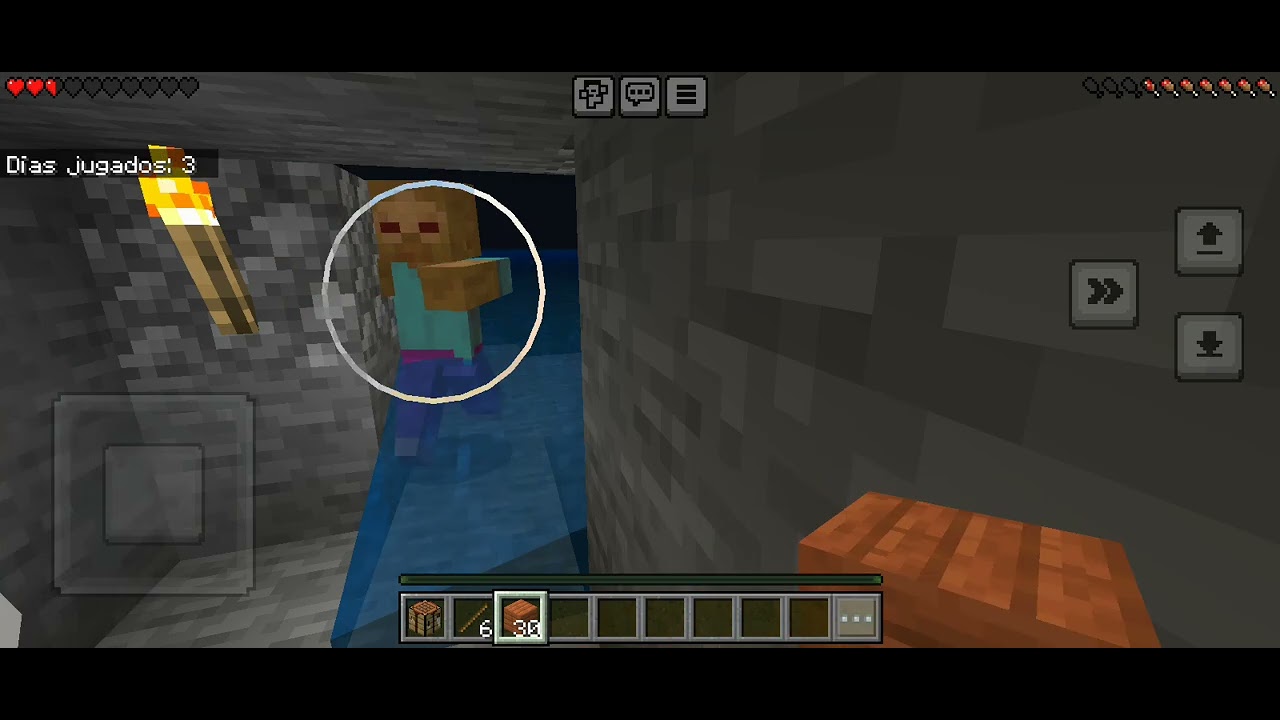 Sobreviviendo 100 días parte2