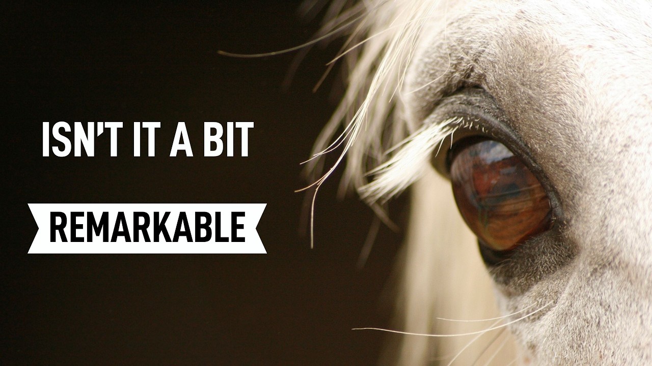 Isn't It Remarkable...