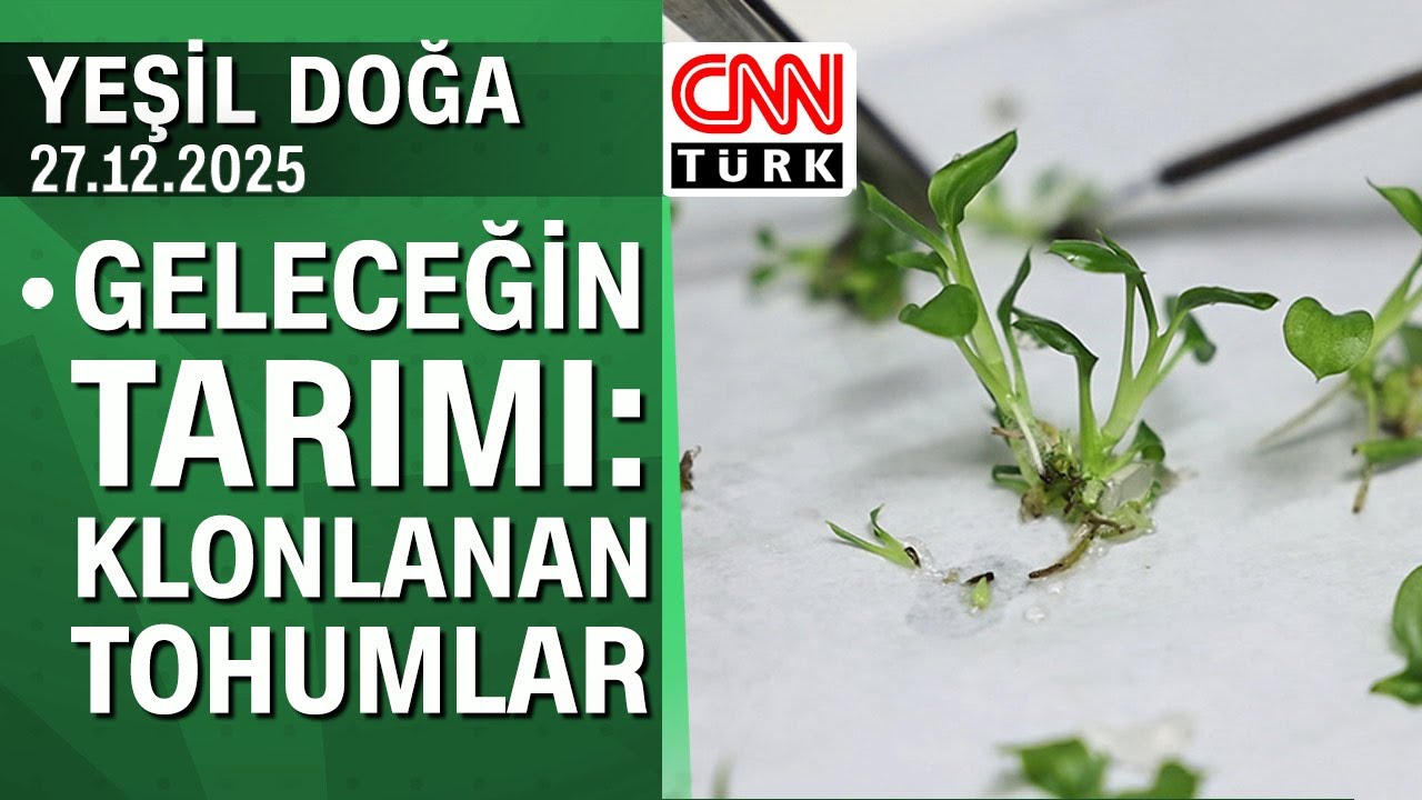 Geleceğin tarımı: Klonlanan tohumların hikayesi - Yeşil Doğa 27.12.2025 Cumartesi