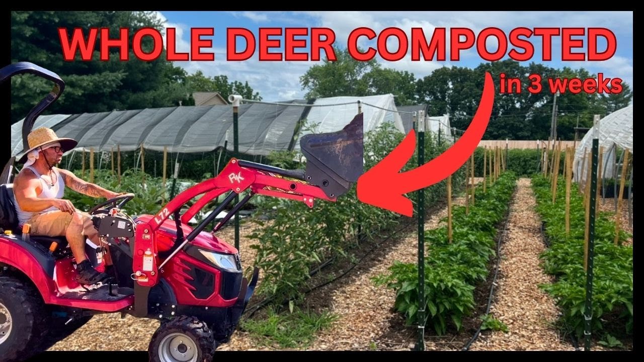 NO TILL MARKET GARDEN COMPOSTING OPERATION!
