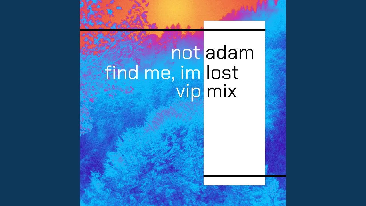 Find Me, I'm Lost (VIP)