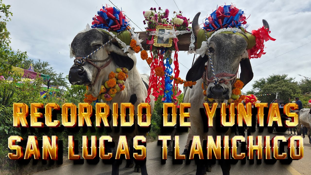 Recorrido yuntas San Lucas Tlanichico Parte 1