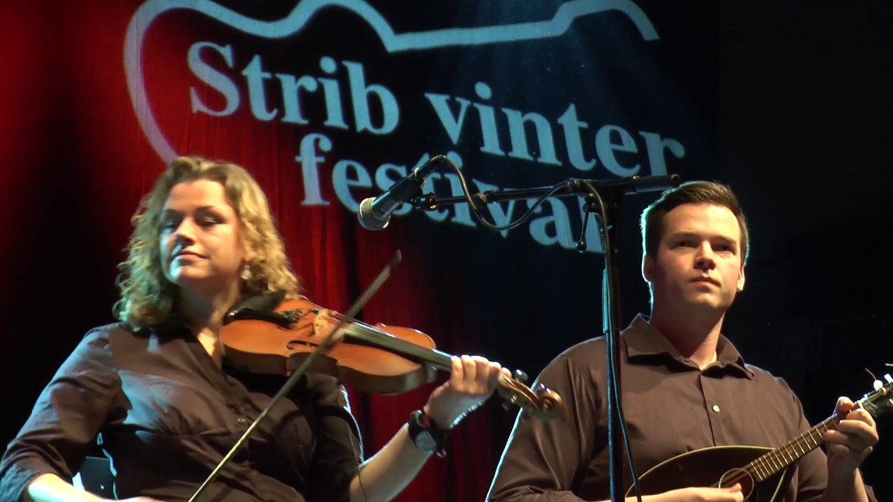 Strib Vinterfestival 2017 -Nordvestenkuling