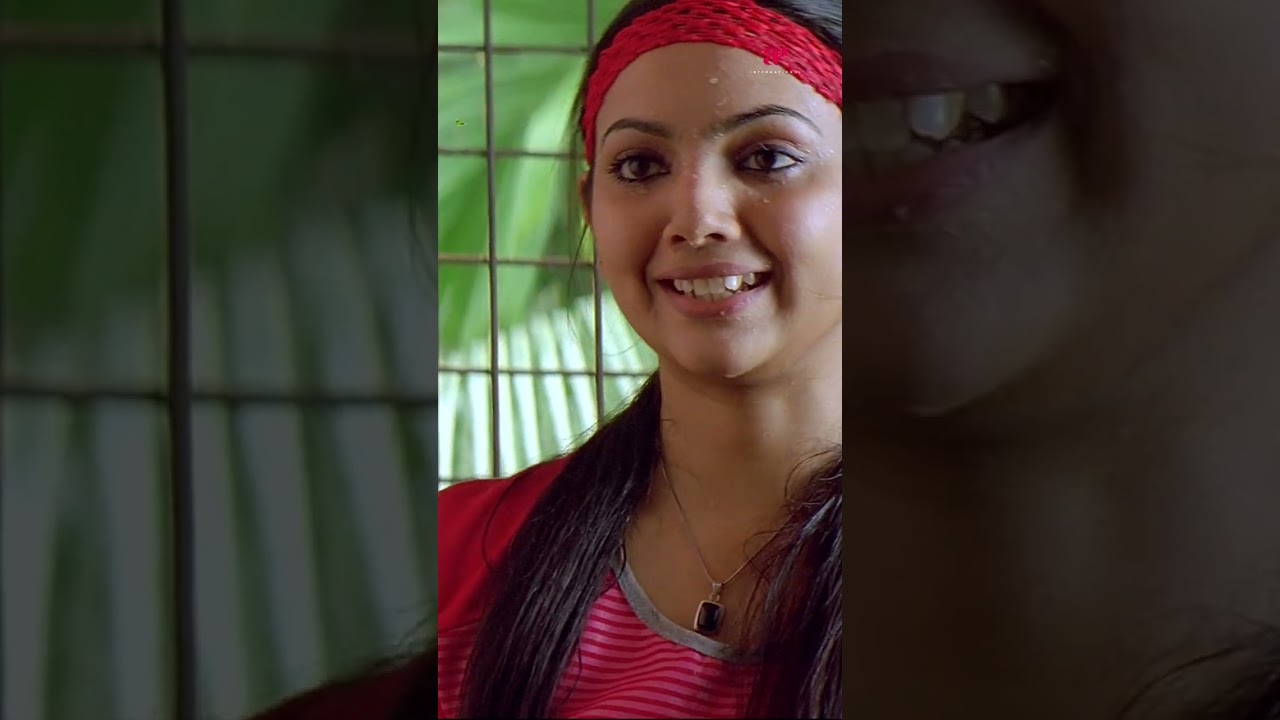 Watch 👆 Happy Husbands Super Scenes ! #happyhusbands #jayaram #indrajith #suraj #comedy #shorts