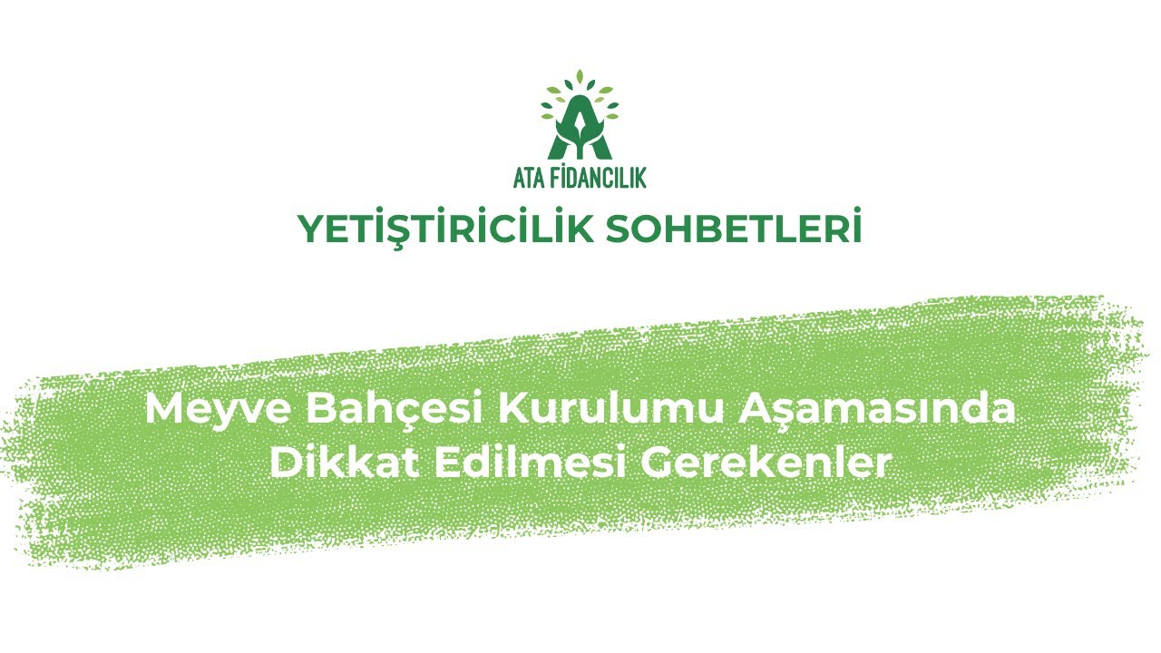 Meyve Bahçesi Kurulumu Aşamasında Dikkat Edilmesi Gerekenler