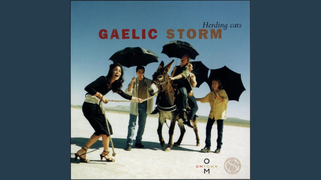 The Devil Went Down To Doolin/Mack's Fancey/The Devil Amongst The Tailors/John Brennan's...