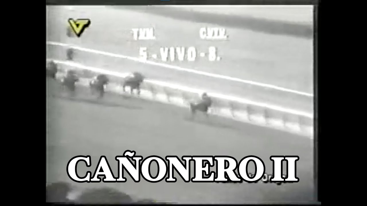 La triste decepci&oacute;n de CA&Ntilde;ONERO II en el Belmont Stakes del a&ntilde;o 1971.
