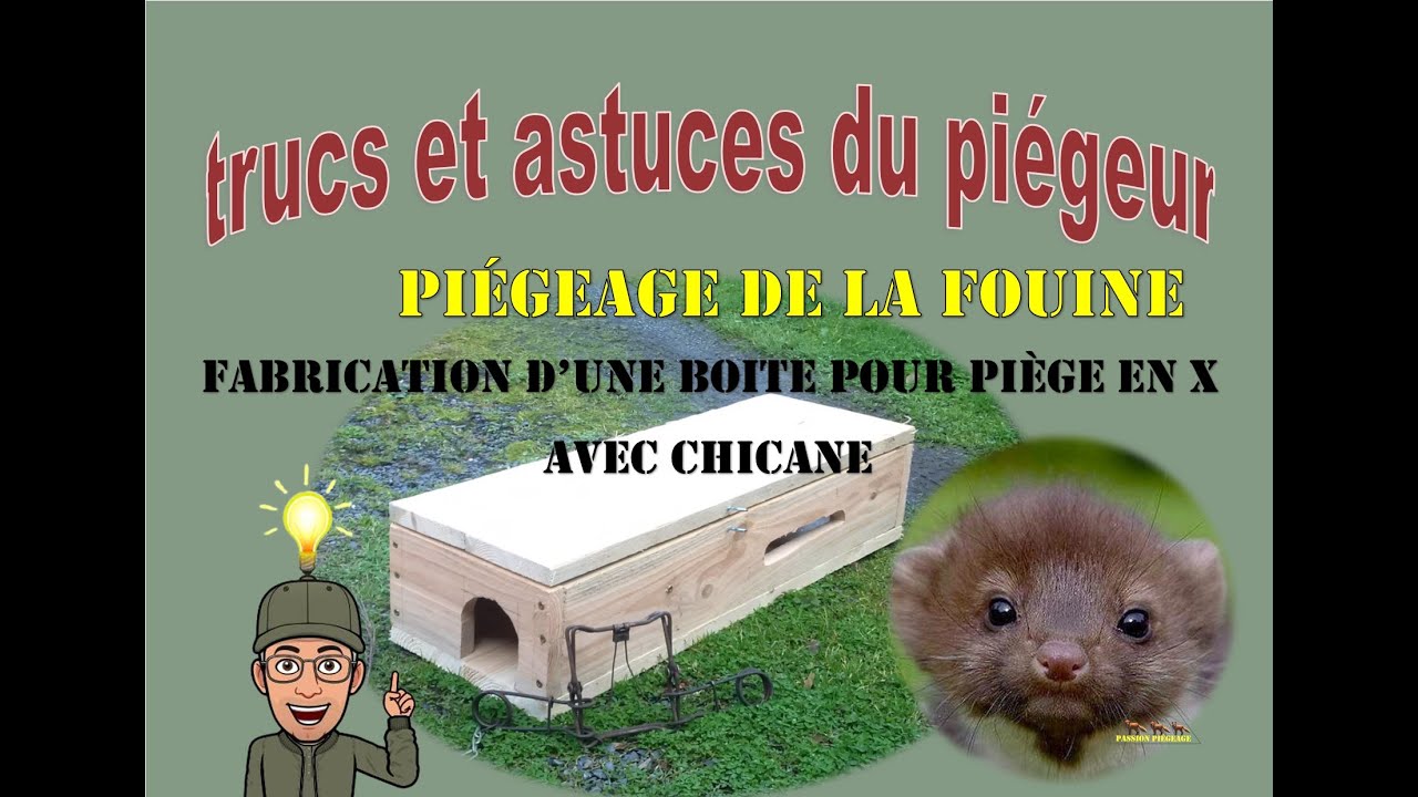 Piégeage de la fouine, fabrication d'une boite à  piège en X avec chicane
