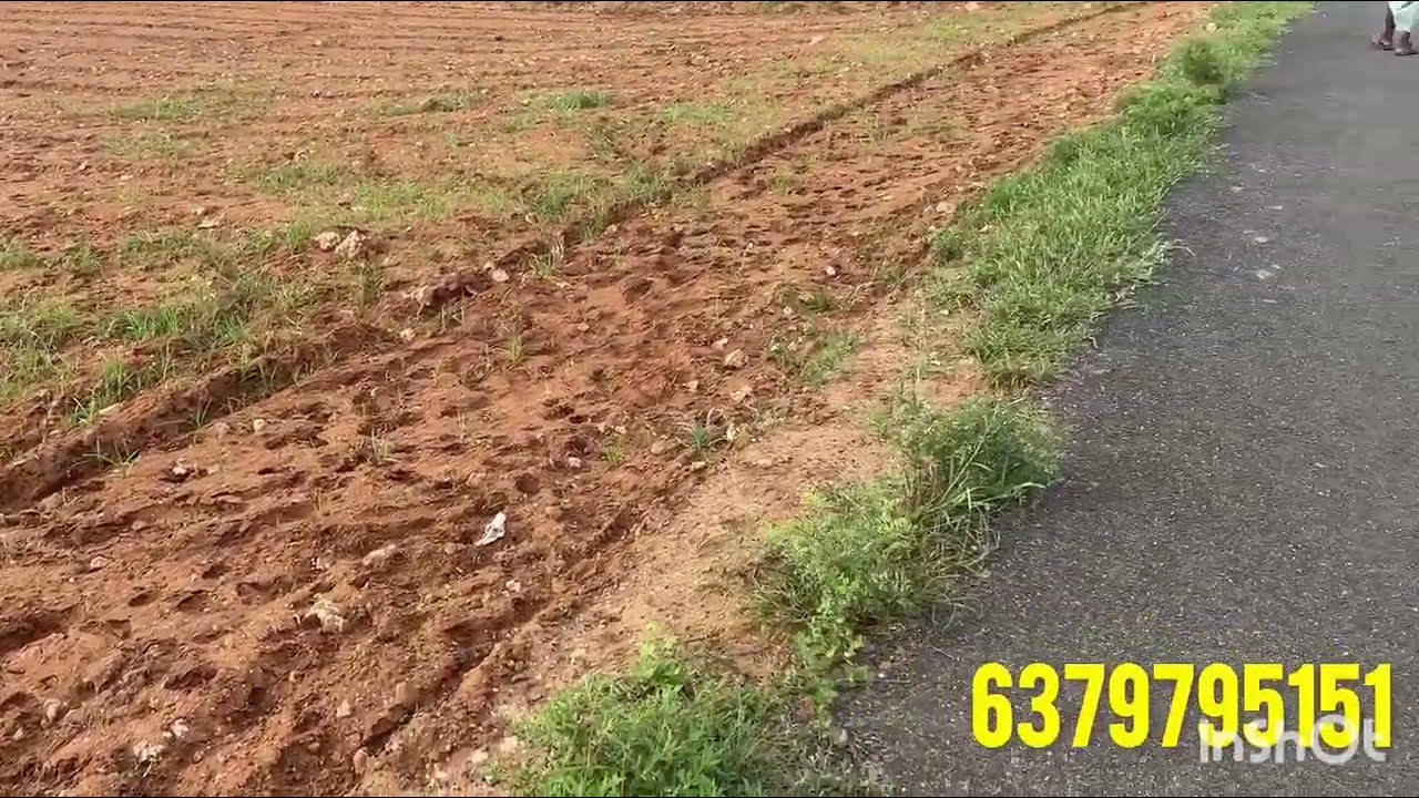 தங்கம் விளையும் பூமி குறைந்த விலையில் விற்பனைக்கு!!!🔥பல்லடம் வெறும் 20km மட்டுமே🔥