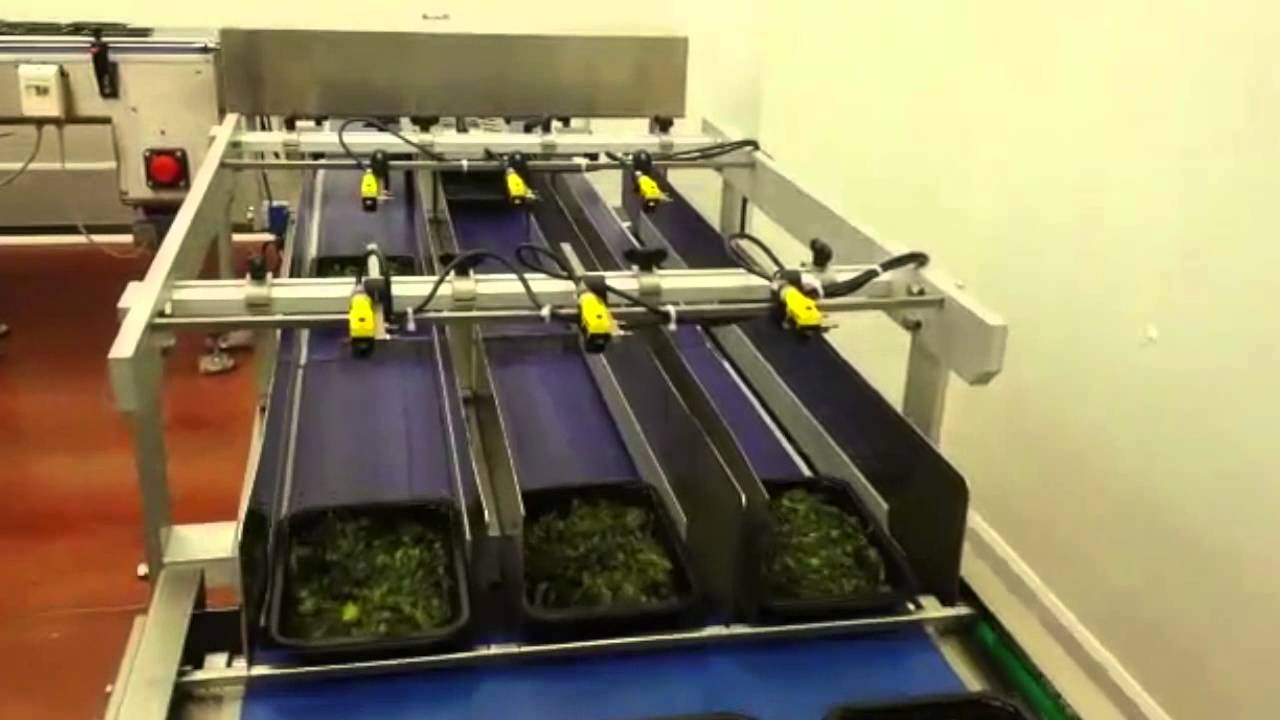 Italian Pack - Polaris Complete Vegetable Line