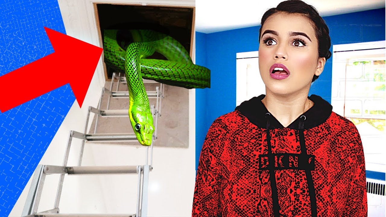 دخلت الغرفة المسكونة والسرية في بيتي | لقيت ثعبان ! 😭