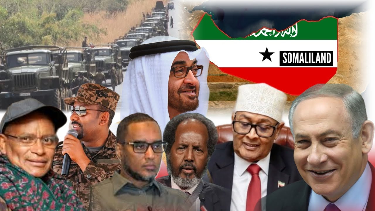 WARKA: Somaliland Oo Adeegsatay Xeelad Cusub, Jahwarerka Muqdisho, TDF Oo Galay Wolkait, Fahad Yasin