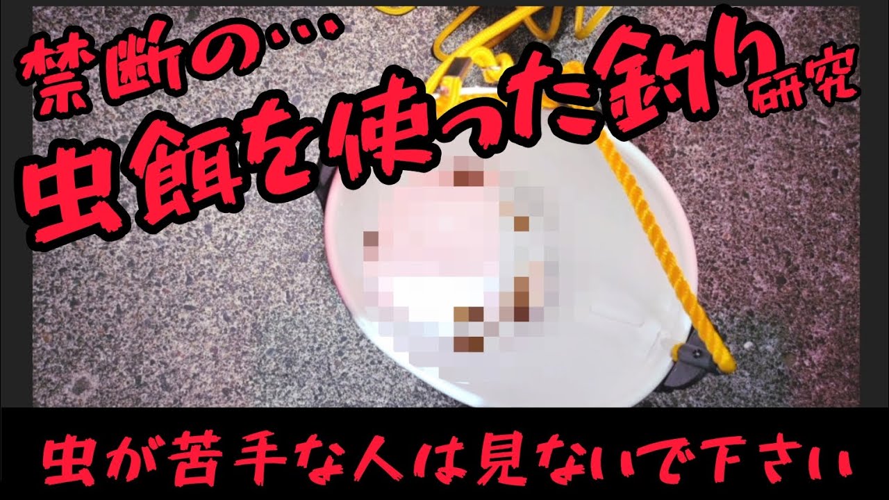 北海道 閲覧注意！禁断の虫餌を使ったら魚は爆釣するのか？