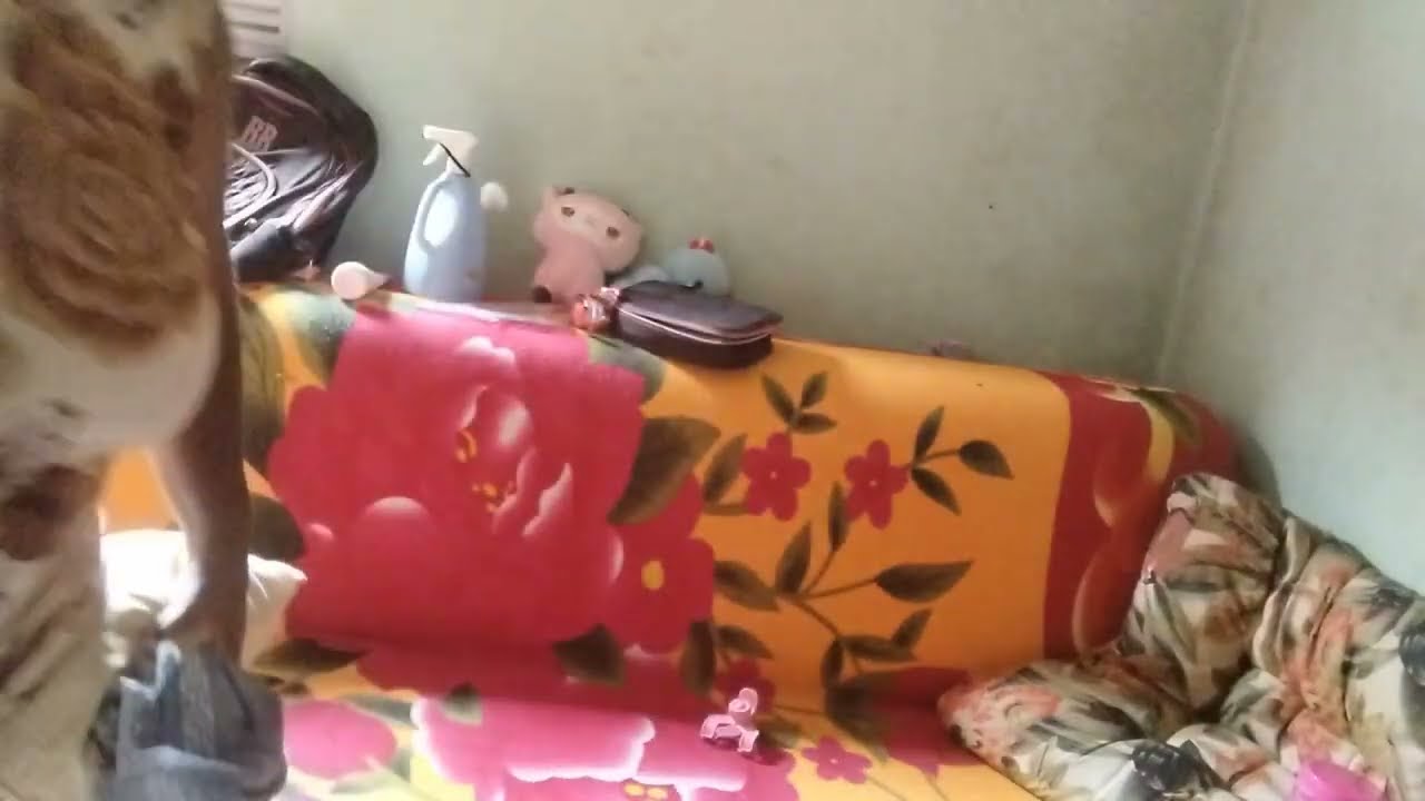 Organizei o quarto/.dobradei roupas. /