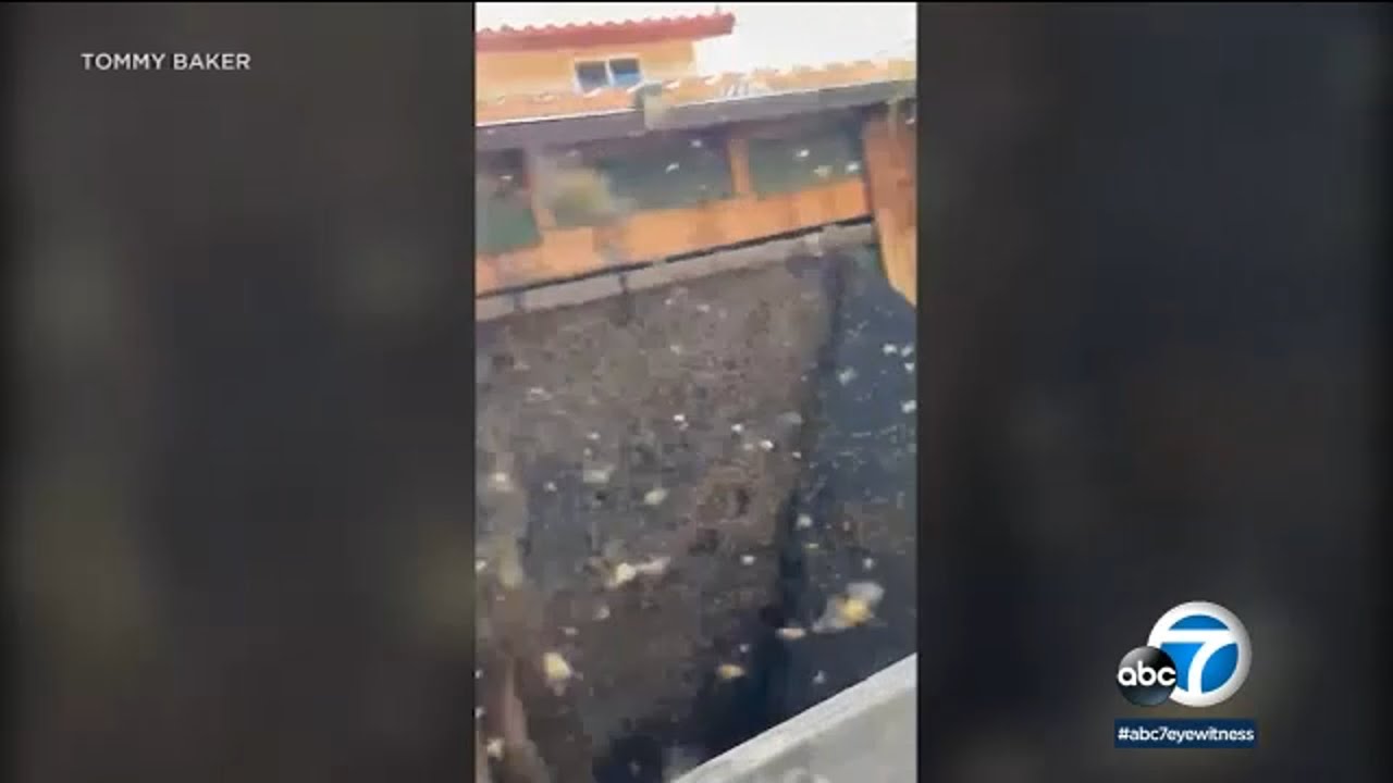 Swarm of bees go on the attack in Riverside County, causing mayhem