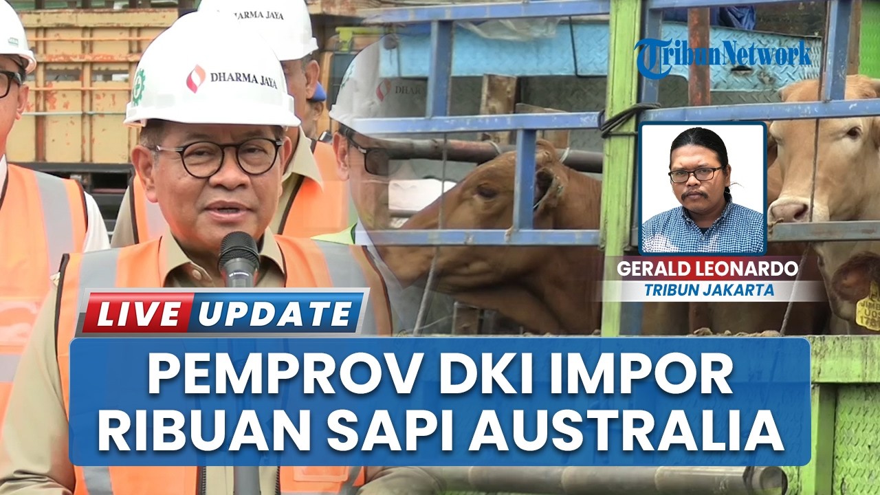 Pemprov DKI Impor Ribuan Sapi dari Australia, Diharapkan Jaga Pasokan Selama Ramadhan