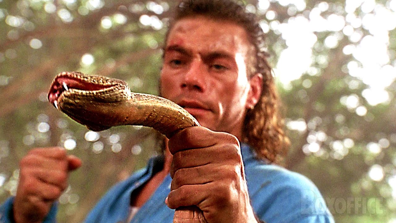 JCVD defiende palomas, monta caballos y lucha con serpientes entre dos trucos de acrobacias en moto